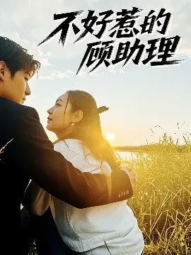 顾助理不好惹?揭秘《不好惹的顾助理》的爱情与职场风云