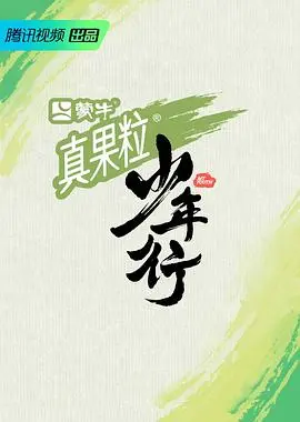 《少年行》：热血青春与成长，见证不凡少年之路