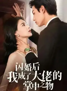 《闪婚后我成了大佬的掌中之物》：甜宠升级！霸总的爱情保鲜秘籍，齁甜来袭！
