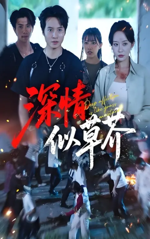 《深情似草芥》：一场职场爱情的禁忌游戏，爱与责任的艰难抉择