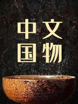 《中国文物》：解码千年谜团，揭秘失落的文明密码，一场惊心动魄的寻宝之旅！